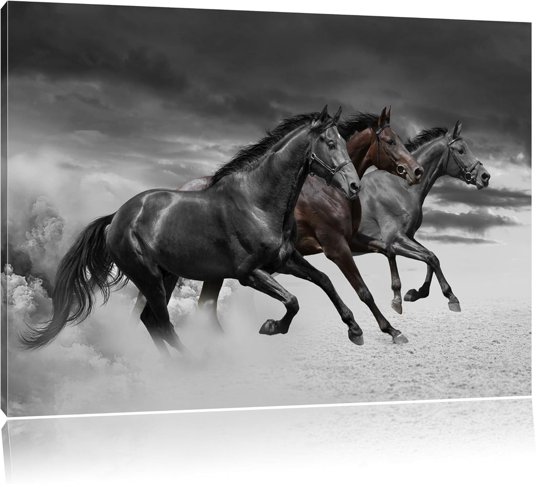 drei Westernpferde im Sand schwarz/weiss Format: 100x70 auf Leinwand, XXL riesige Bilder fertig gera