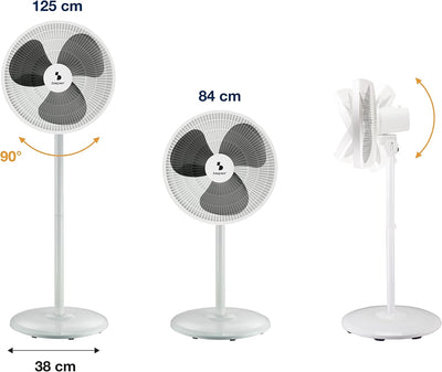 BEPER P206VEN152 Stand- und Tischventilator, 2 Höhen in 1 - Low-Power-Ventilator 2in1, 2in1