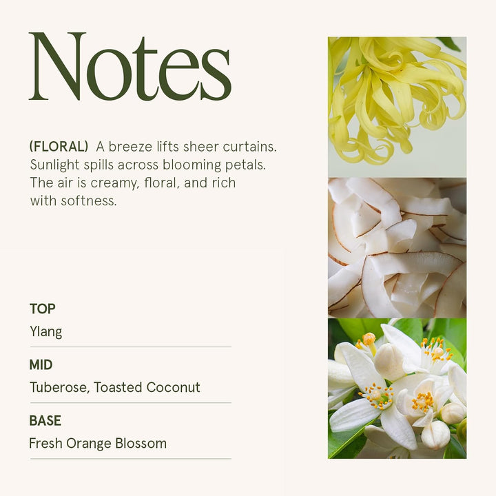 La Jolíe Muse Duftkerze im Glas, Gardenie &amp; Ylang-Ylang Duftkerze, 550g, Natürliche Kerze für zu Hau