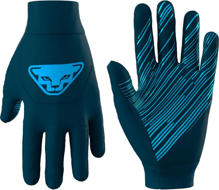 Dynafit Unisex Upcycled Speed Gloves Handschuhe, bunt, L