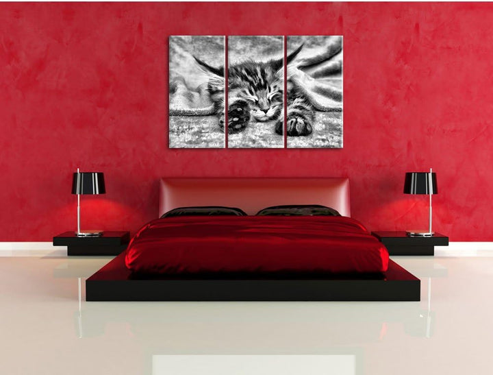 Pixxprint Baby-Katze, rote Bettdecke, als Leinwandbild/Grösse: 3 Teilig (120x80 cm) cm/Wandbild/Kuns