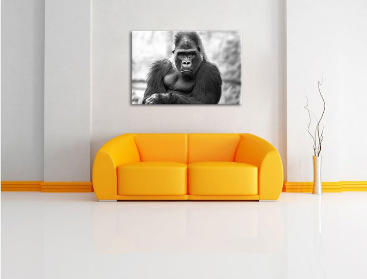 Pixxprint gelangweilter Gorilla Kunst B&W / 100x70cm Leinwandbild bespannt auf Holzrahmen/Wandbild K