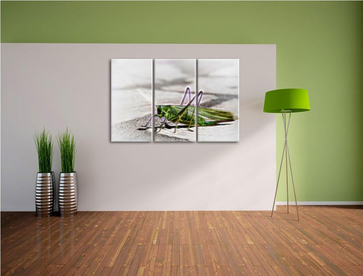 elegante Heuschrecke NewArt 3-Teiler Leinwandbild 120x80 Bild auf Leinwand, XXL riesige Bilder ferti