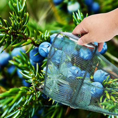 Cabilock Riffl Beerenpflücker Picker Obstpflücker Obsternter Werkzeug Beerenkamm Johannisbeeren Heid