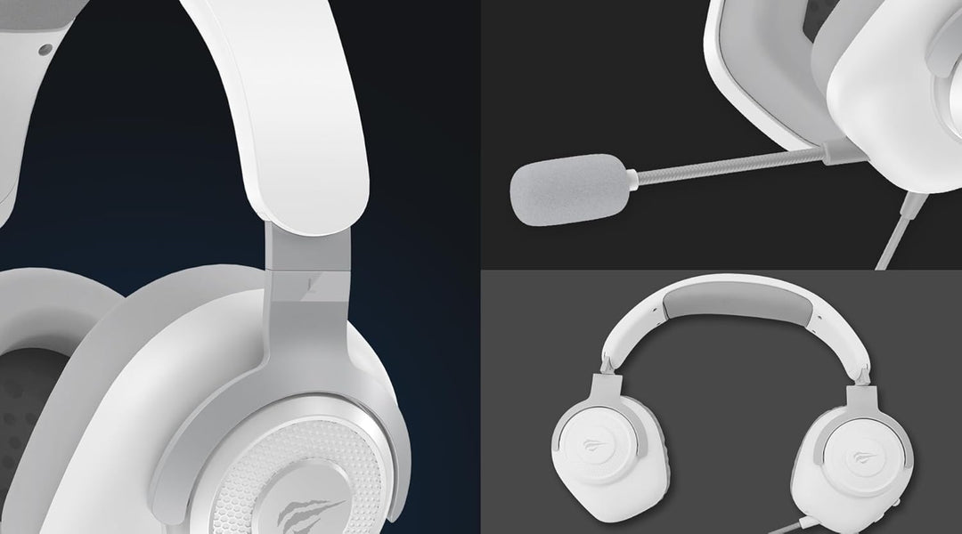 Havit H2230d Gaming Headset mit abnehmbarem, omnidirektionalem Mikrofon – 50 mm Treiber & Surround S