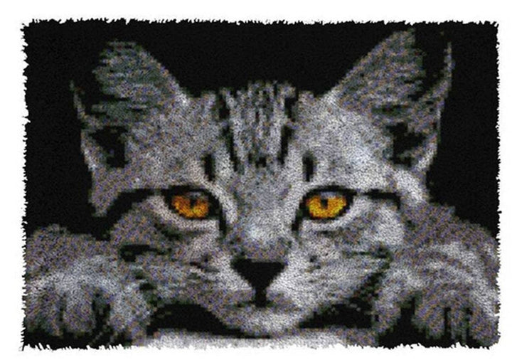 ROCKY&CHAO Knüpfhaken-Teppich-Set DIY-Knüpfhaken Teppichherstellungs für Erwachsene Kinder Kreuzstic