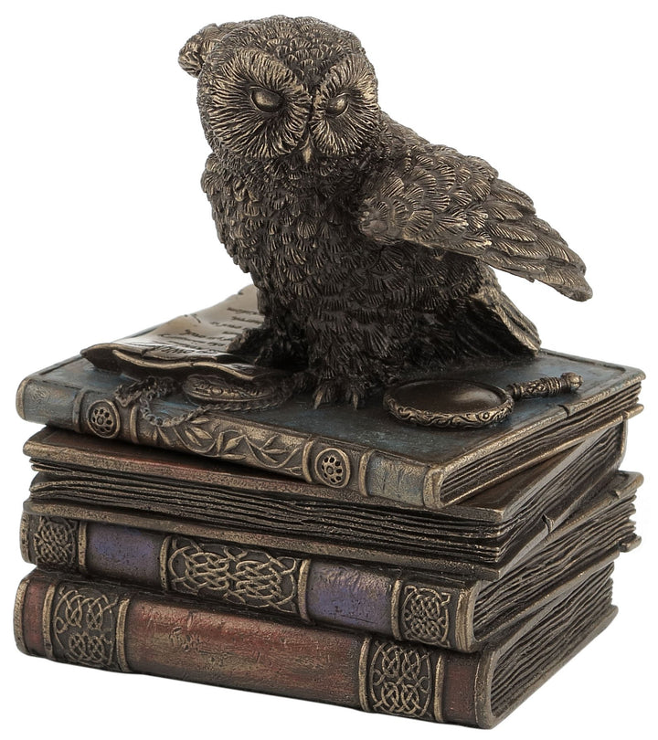 Unbekannt 12,1 cm Schnee Klappe Flügel Eule auf Büchern Schmuckdose, Bronze Farbe