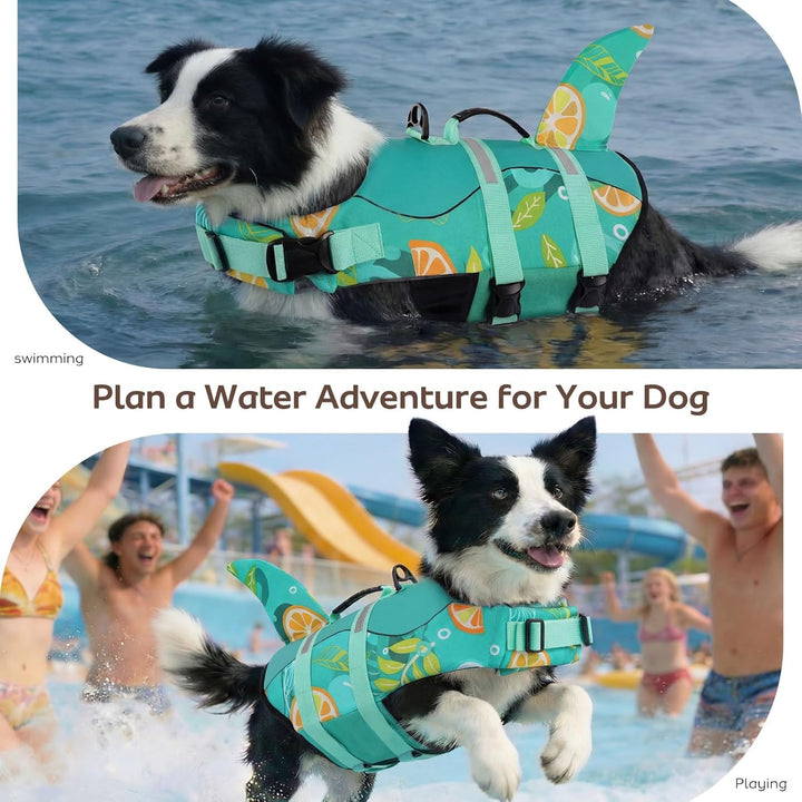 CITÉTOILE Schwimmweste Hunde Hai, Leicht und Sicher für Wassersport, hundeschwimmweste mit Griff und