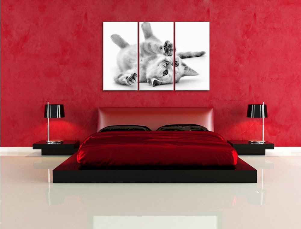 Pixxprint Kleine Katze als Leinwandbild/Grösse: 3 Teilig (120x80) cm/Wandbild/Kunstdruck/fertig besp