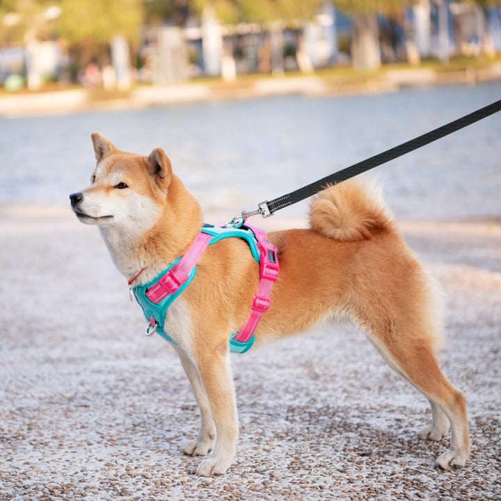 PHOEPET Anti-Zug Hundegeschirr verstellbar mit Reflektoren | Trainingsgriff & Metallclips für alle H