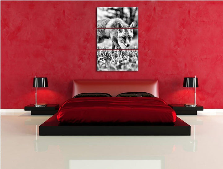 Pixxprint Schöner Fuchs als Leinwandbild/Grösse: 3 Teilig (120x80) cm/Wandbild/Kunstdruck/fertig bes