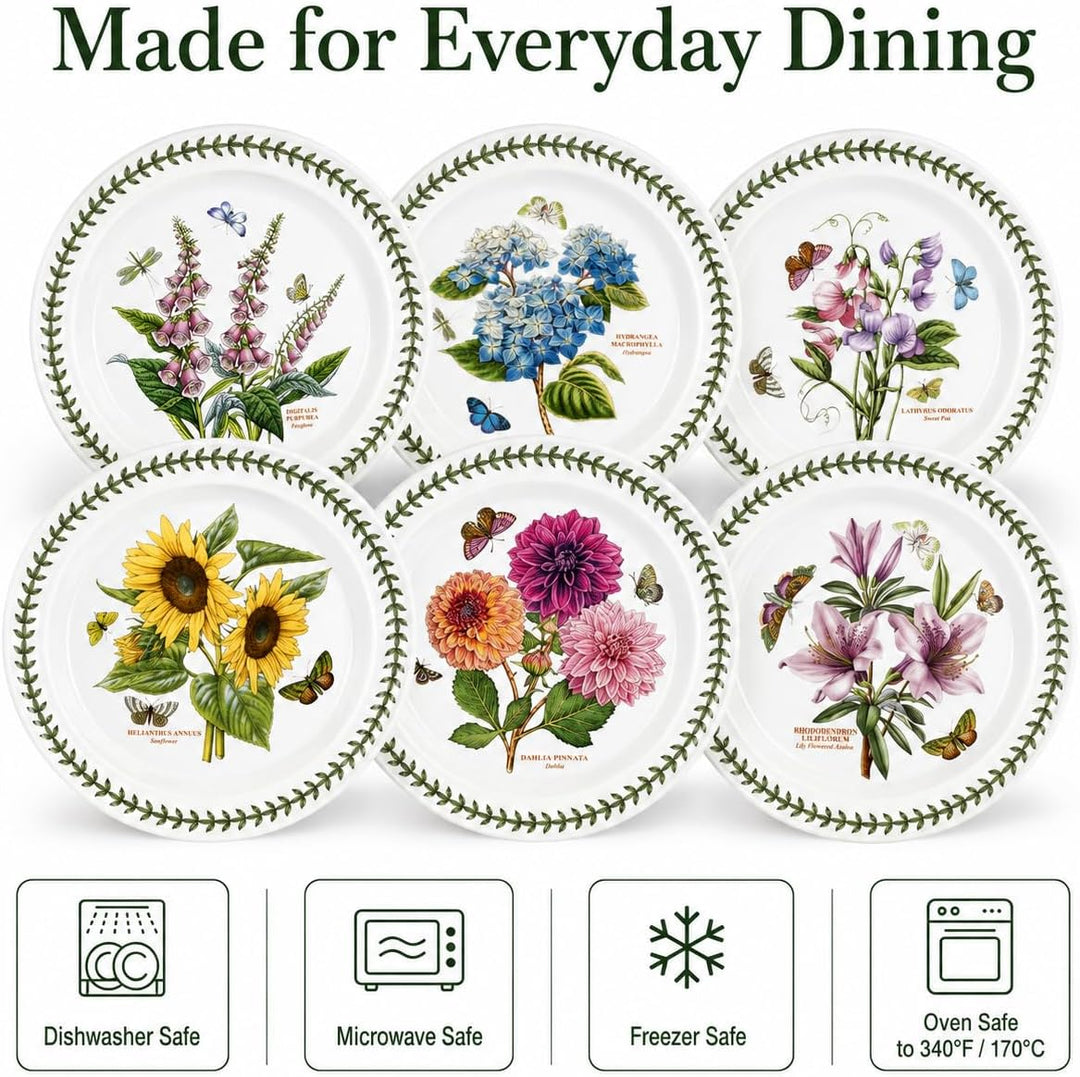 Portmeirion Botanic Garden 25,4 cm Abendessen Teller – Set von 6 Rose, Rose