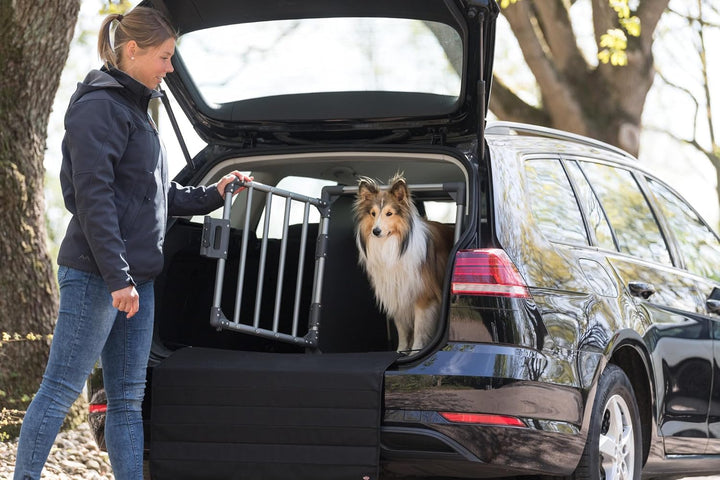 TRIXIE Hunde-Transportbox, Aluminium, M: 55 x 61 x 74 cm, grafit, stabil und geräuscharm, rutschfest