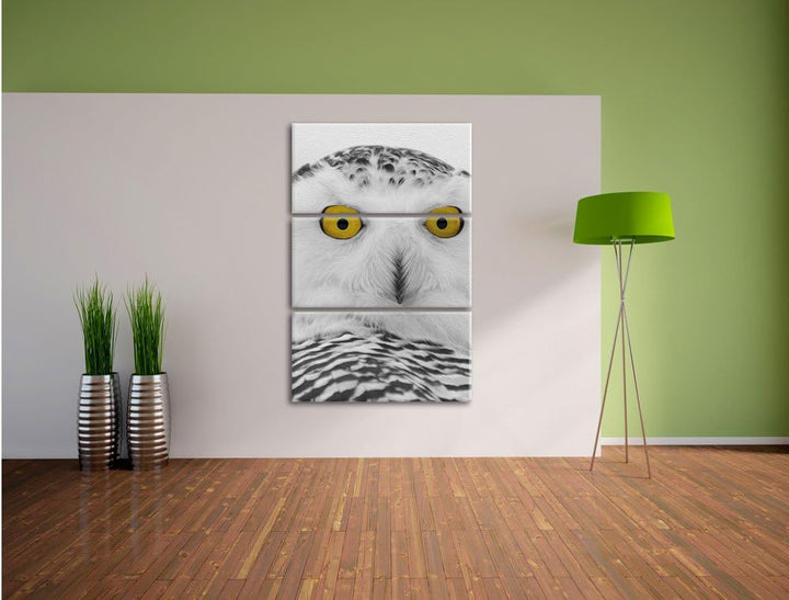 Pixxprint grosse Schnee Eule als Leinwandbild - Grösse: 3-Teilig (120x80cm) - Wandbild - Kunstdruck