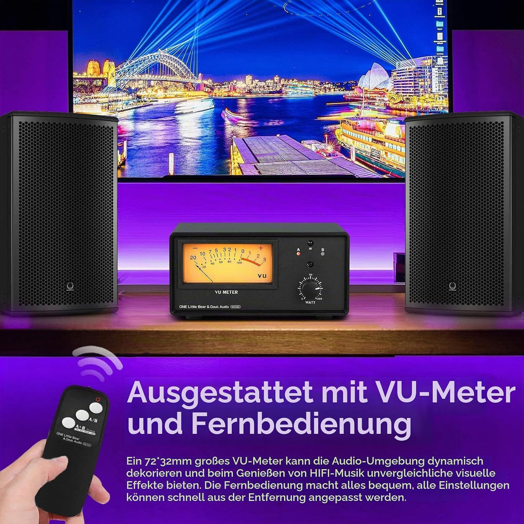 2-Wege Audio Selektor Verstärker/Lautsprecher Umschalter Switcher Box Splitter