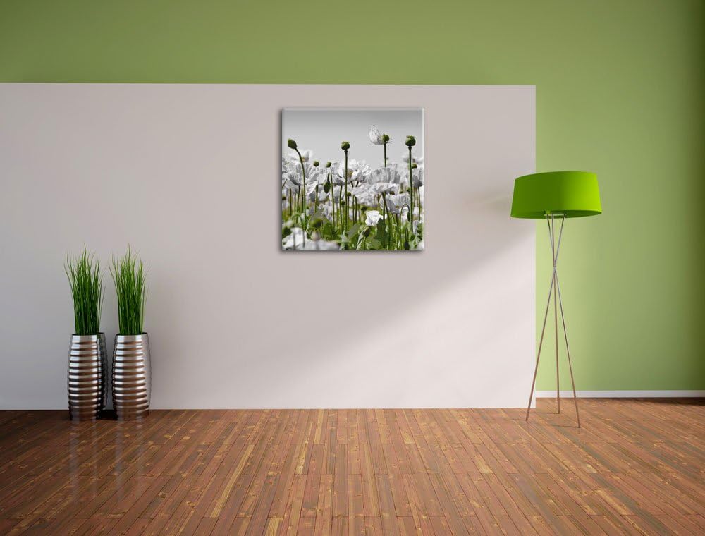 Pixxprint Blumenwiese Mohnblumen schwarz/weiss, Format: 70x70 als Leinwandbild, 70x70