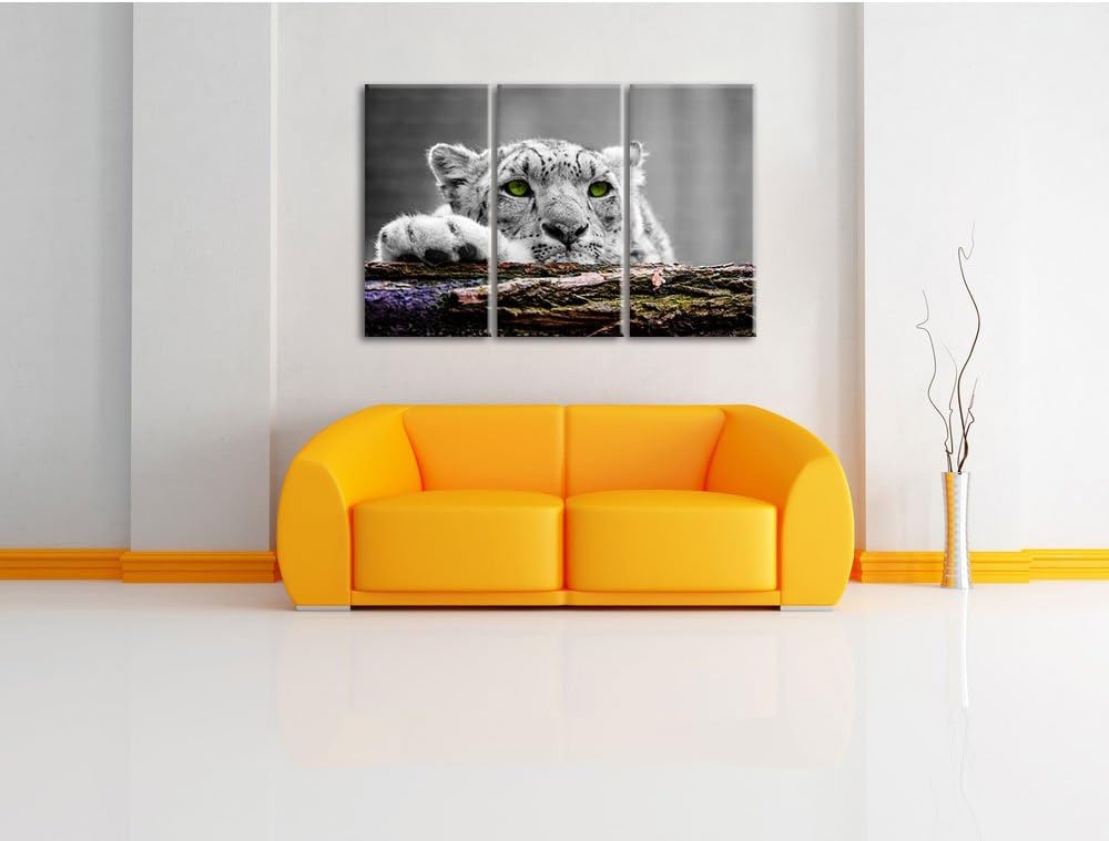 Pixxprint Schöner Gepard mit grünen Augen / 3-Teilig/Gesamtmass 120cm Leinwandbild bespannt auf Holz