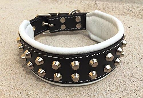 Bestia™ "Rocky Echtleder Hundehalsband mit Stumpfnieten. 100% Leder. Weich gepolstert. TOP Qualität!
