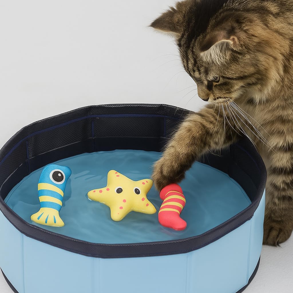 Swimmingpool Schwimmbecken für Katzen Katzenpool Katzenplanschbecken Katzenbadewanne, Faltbarer -Kat