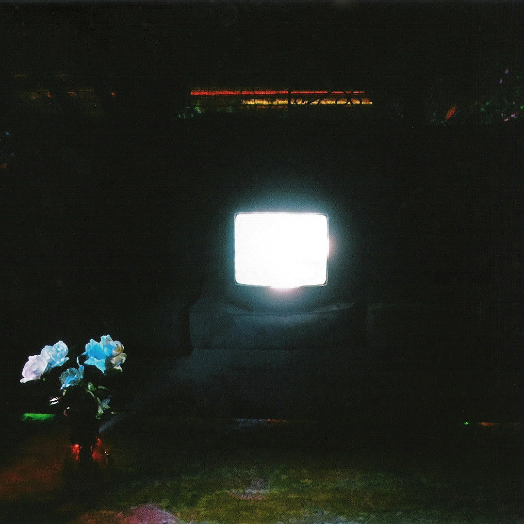 Does It Look Like I'M Here?, Vinyl