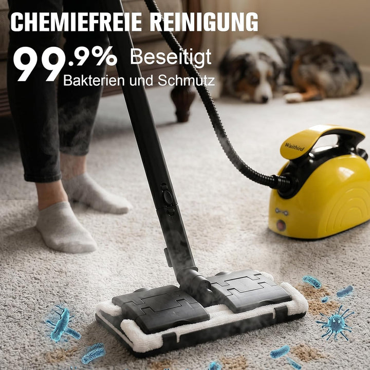 Waitbird Hand-Dampfreiniger für Zuhause, 4,5 Bar, 120 °C Heissdampf, 1500W | 21 Zubehörteile | Chemi