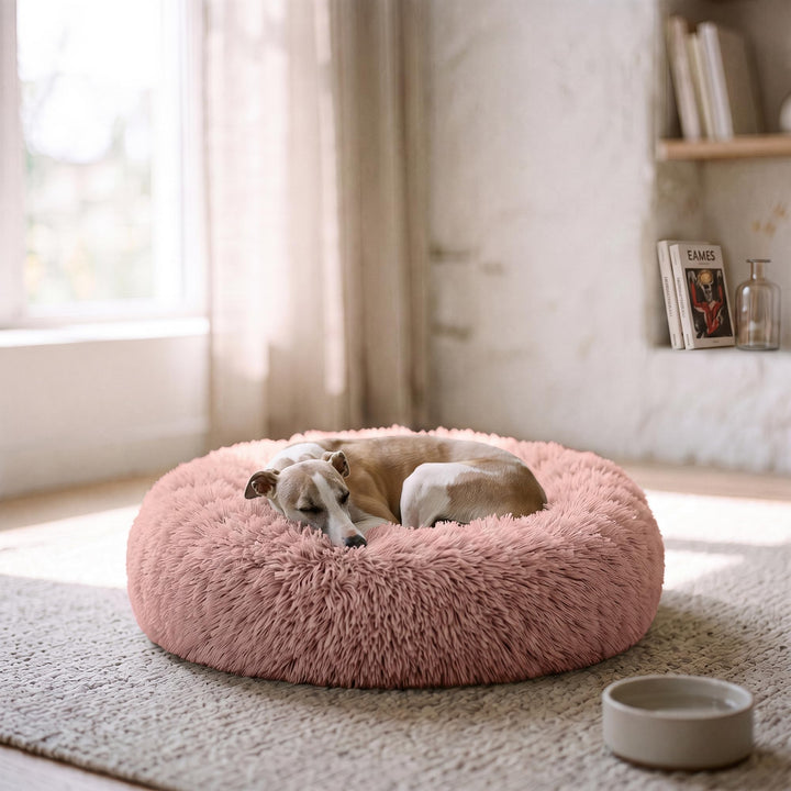 Sogni e capricci Hundebett Dreams, Rosa, 60x60x26 cm 60x60x26 cm Pink, 60x60x26 cm Pink