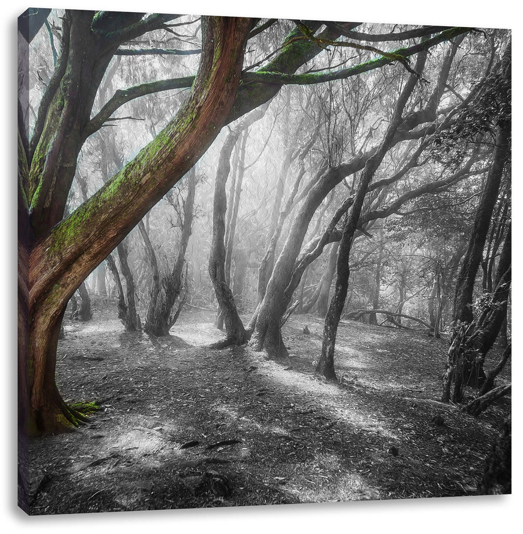 Pixxprint einsamer Baum in tristem Grau schwarz/weiss, Format: 70x70 auf Leinwand, 70x70
