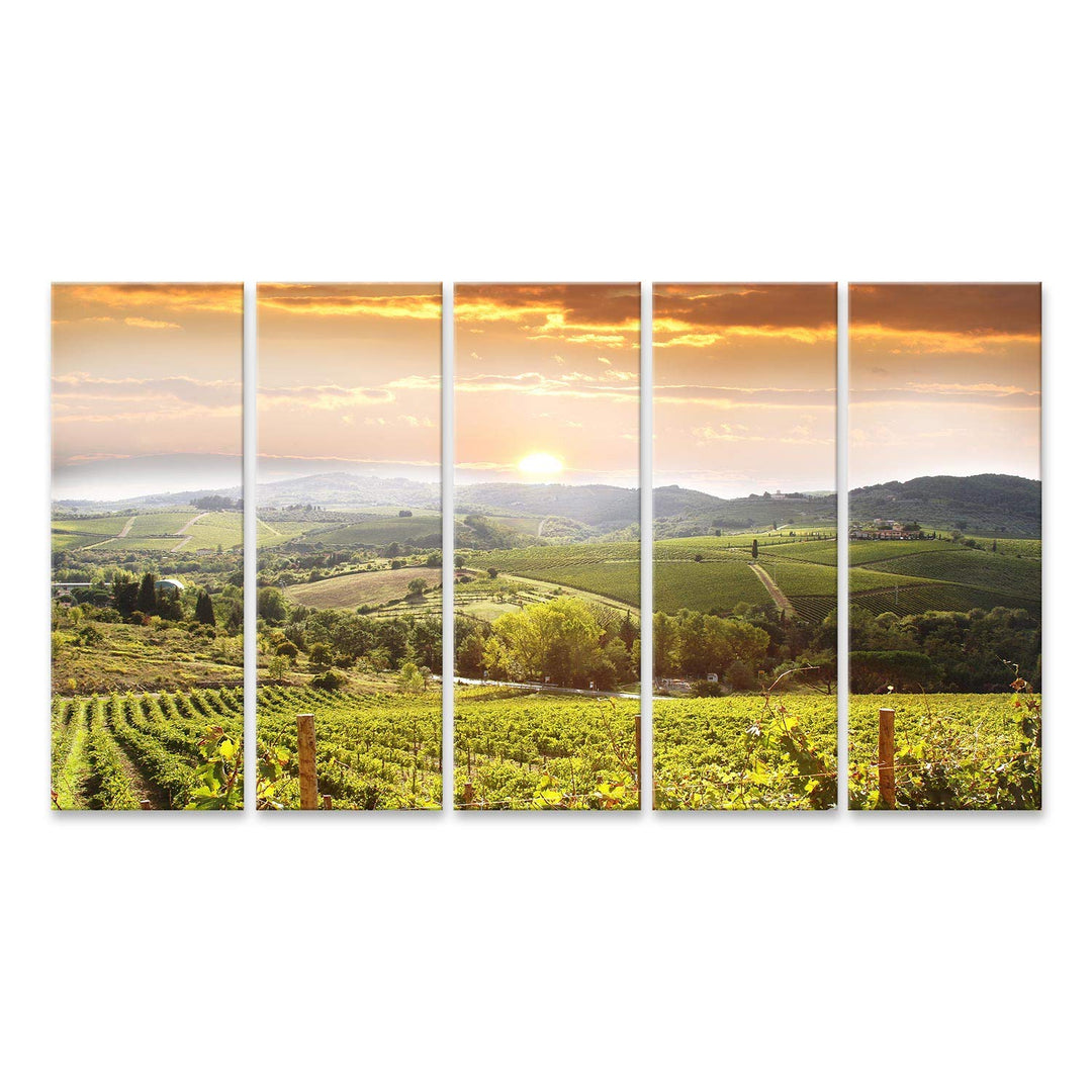Bild Bilder auf Leinwand Chianti-Weinberglandschaft in Toskana Italien Wandbild, Poster, Leinwandbil