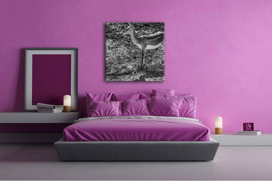 Gazelle mit süssem Baby in der Natur im Format: 70x70 Effekt: Schwarz&amp;Weiss als Leinwandbild, Motiv