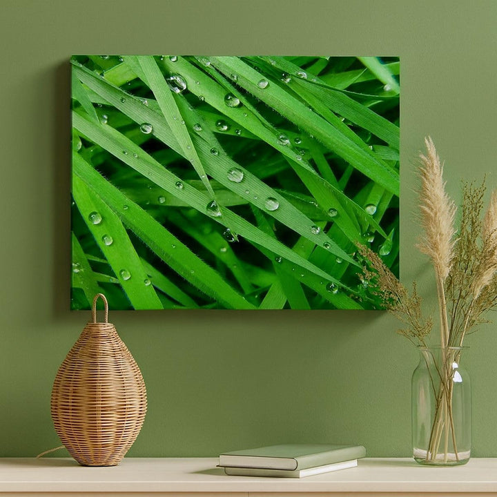 Bilder auf Leinwand 100x70cm Leinwandbild Natur Gras Wasser Tropfen Gross Wanddeko Bild Schlafzimmer