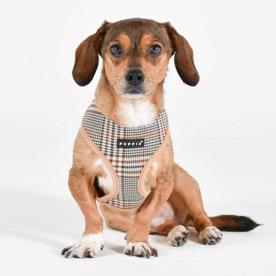 Lucas Harness A Hundegeschirr Beige S Beige_Lucas Small, Beige_Lucas Small