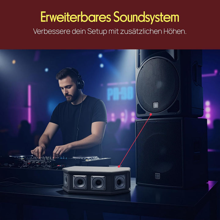 PylePro 300 Watt DJ Lautsprecher Boxen, Party Lautsprecher Passiv Robuste PA Box als Musikanlage 6-W
