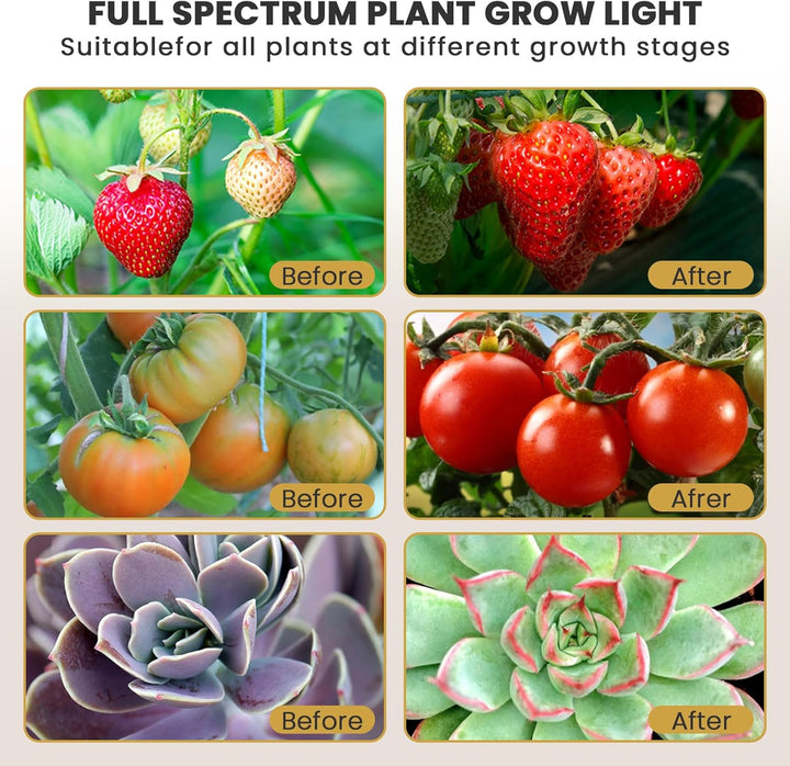 bseah Grow Light Plant Light Indoor Plants, Full Spectrum Clip Plant Growing Lamp, 10-Level Dimmable