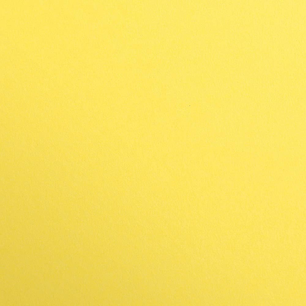 Clairefontaine 397254C Packung (mit 125 Bögen Zeichenpapier Maya, 50 x 70 cm,270g, glatt, ideal für