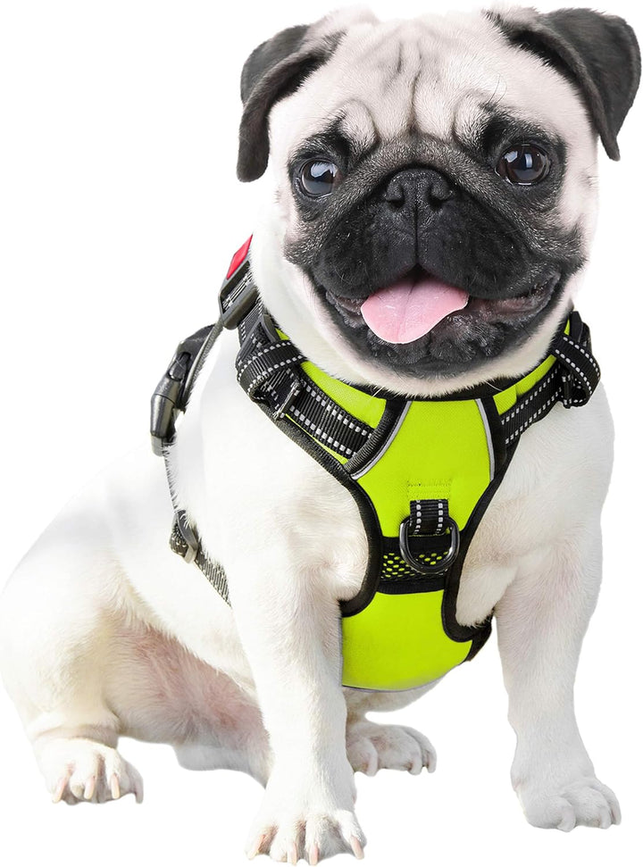 Phoepet Anti-Zieh-Hundegeschirr, reflektierend, verstellbar, mit Trainingsgriff, Namensausweisfach,