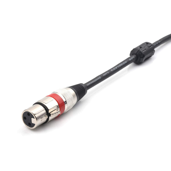 SiYear Audio-Y-Splitterkabel, XLR-Buchse 3-polig auf 6,35 mm Mono-Stecker, Dual-6,35-mm-Stecker auf