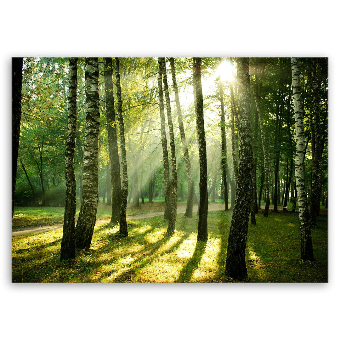 ge Bildet Bild auf Leinwand | Landschaftsbilder - Wald I in 70x50 cm als Wandbild | Wand-deko Dekora