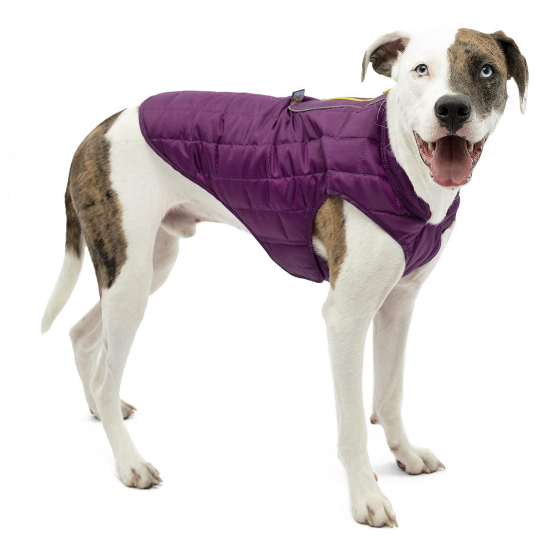 Kurgo Loft Hundejacke, Mit Hundegeschirr kombinierbar, Wasserdicht und reflektierend, Ideal für den