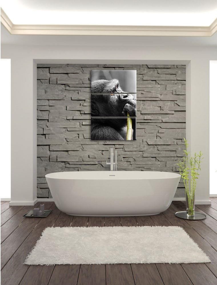 Pixxprint stolzer Gorilla isst als Leinwandbild/Grösse: 3 Teilig (120x80) cm/Wandbild/Kunstdruck/fer