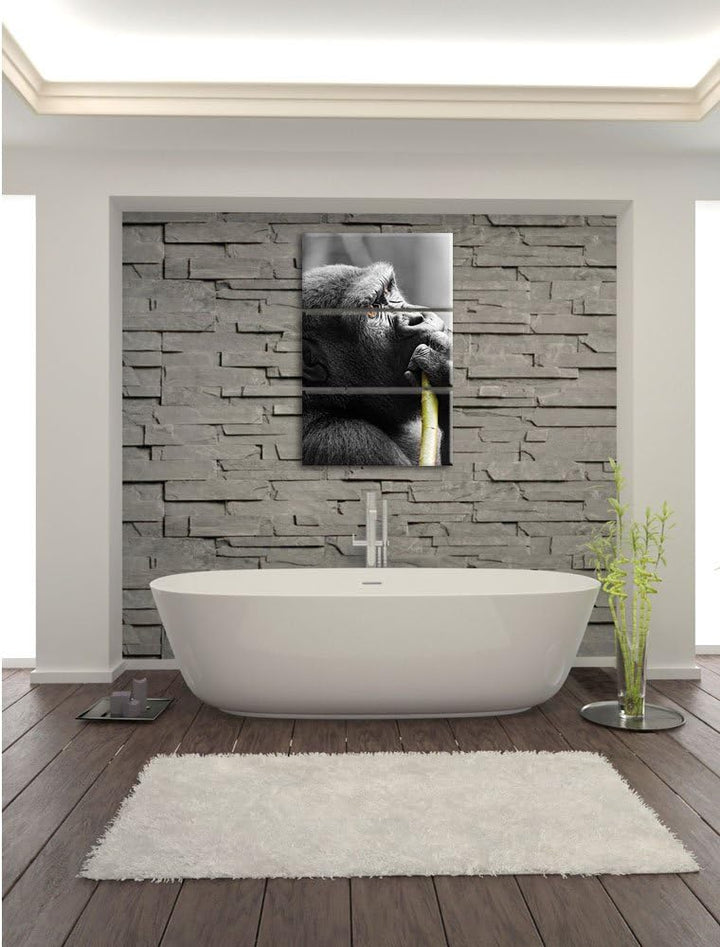 Pixxprint stolzer Gorilla isst als Leinwandbild/Grösse: 3 Teilig (120x80) cm/Wandbild/Kunstdruck/fer