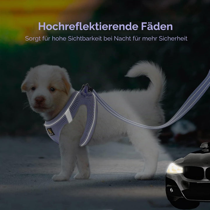 BELLA &amp; PAL Hundegeschirr Kleine Hunde mit Leine, Step-in Geschirr aus Air Mesh, Anti Zug Reflektier