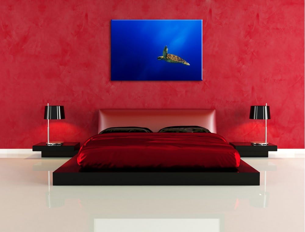 Alte Schildkröte im Meer Format: 100x70 auf Leinwand, XXL riesige Bilder fertig gerahmt mit Keilrahm