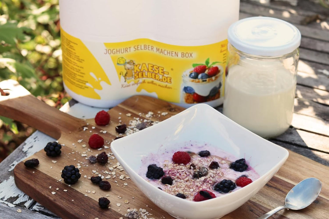 Joghurtbox Joghurtbereiter ohne Strom 2X 0,5 Liter Glas, Joghurt selber