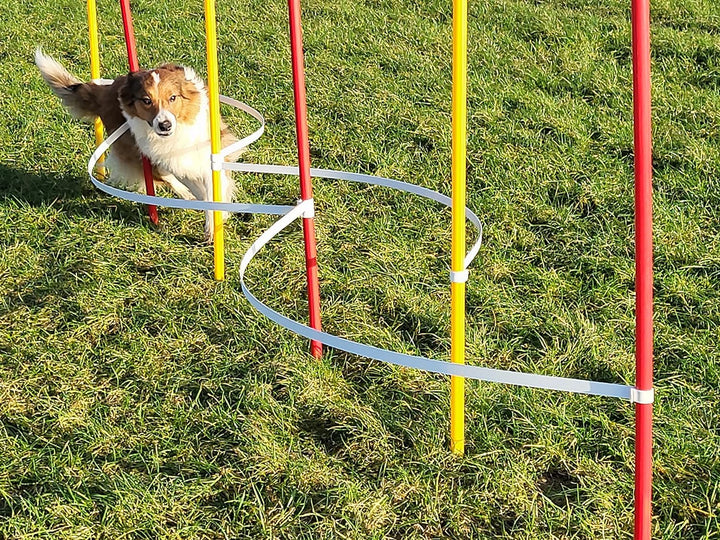 Wuzzmann Agility - Slalom - AUSBILDUNGSSET MIT 4 SLALOMBÖGEN/TRAININGSBÖGEN + 6 SLALOMSTANGEN ROT/GE