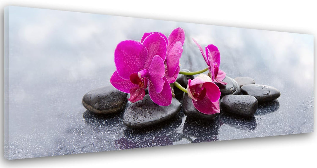 Feeby. Leinwandbild, Bilder, Wand Bild, Wandbilder, Kunstdruck 150x50 cm, ORCHIDEE, ZEN, ROSA