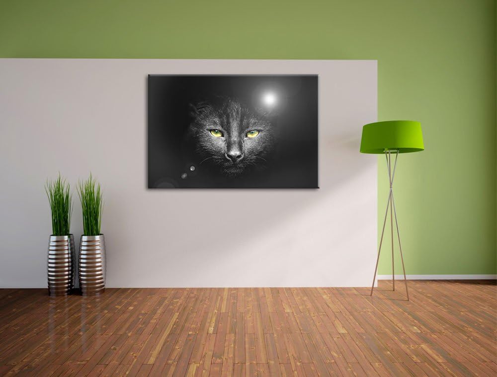 Katzenkopf mit düsterem Hintergrund schwarz/weiss Format: 100x70 auf Leinwand, XXL riesige Bilder fe