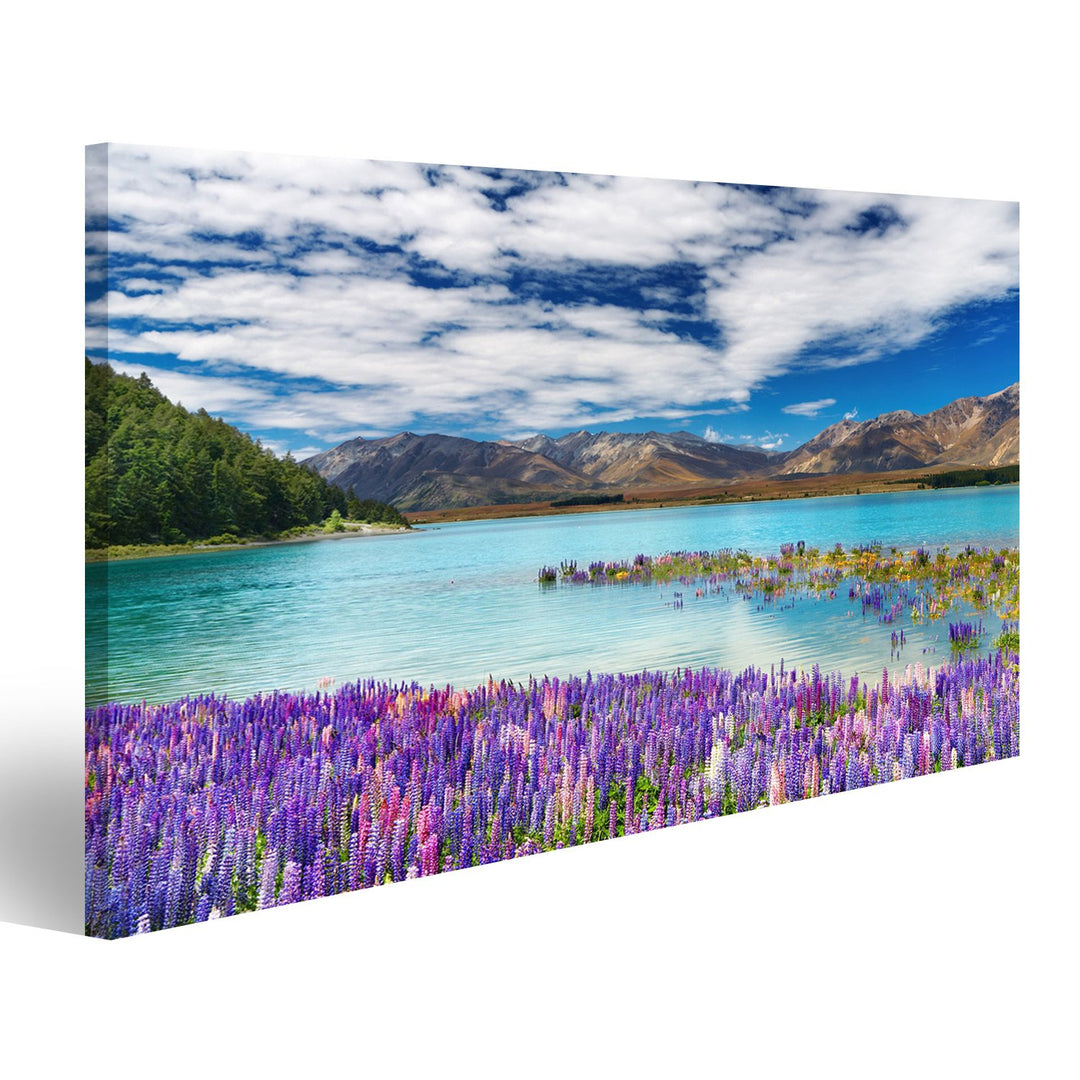 islandburner Bild auf Leinwand Lake Tekapo, Südinsel, Neuseeland Wandbild, Poster, Leinwandbild HRZ-