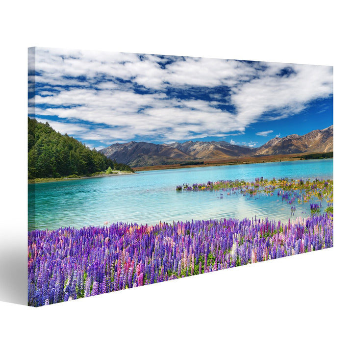 islandburner Bild auf Leinwand Lake Tekapo, Südinsel, Neuseeland Wandbild, Poster, Leinwandbild HRZ-
