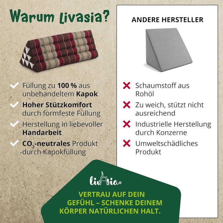 livasia Rückenstützkissen breit für Paare, Dreieckskissen für Garten und Balkon, Keilkissen mit Kapo