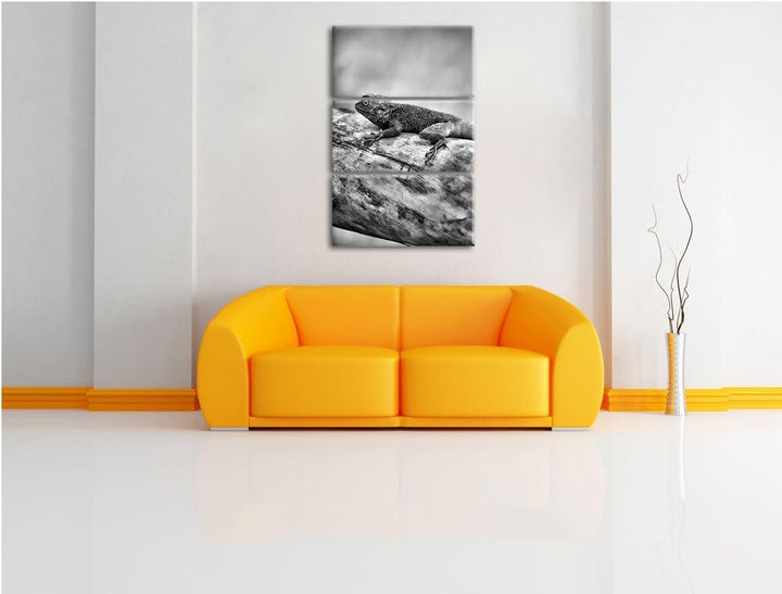 Pixxprint farbenfrohe Eidechse als Leinwandbild/Grösse: 3 Teilig (120x80) cm/Wandbild/Kunstdruck/fer